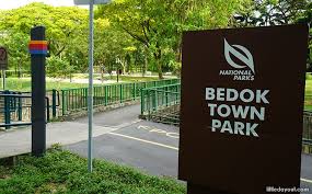 Bedok Town Park: A Green Oasis in Eastern Singapore