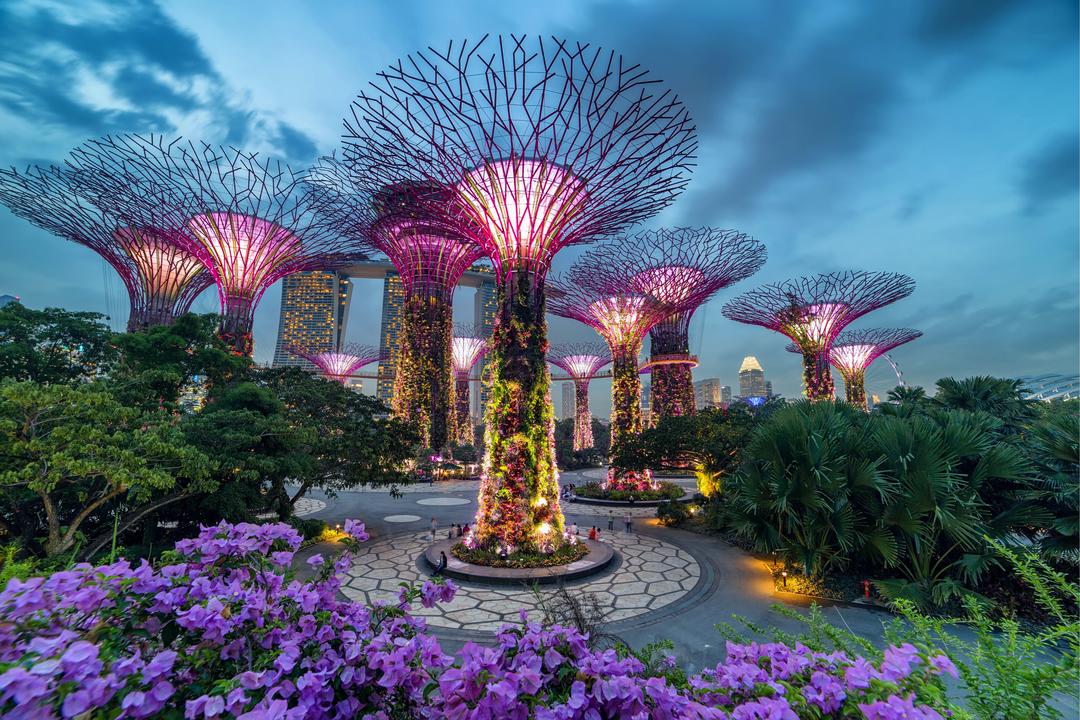√ Gardens by the Bay – Singapore’s Futuristic Nature Park