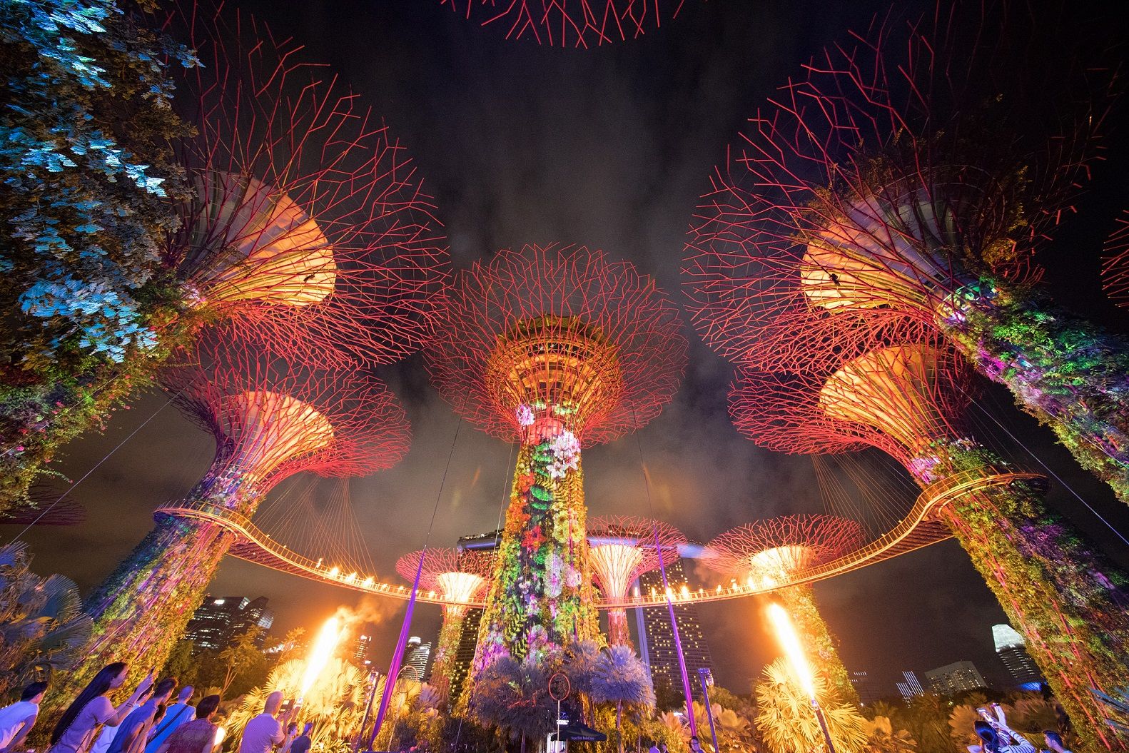 Supertree Grove Singapore: Light Show, Skyway & Attractions