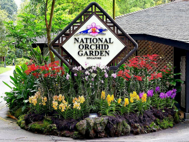 √ Singapore Botanic Gardens – A UNESCO World Heritage Site in the Lion City