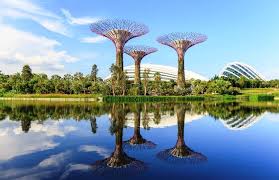 Gardens by the Bay Singapore: A Complete Guide to the Iconic Nature Park