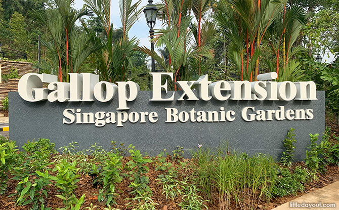 √ Singapore Botanic Gardens Gallop Extension – A Green Escape of Art, Nature, and Heritage