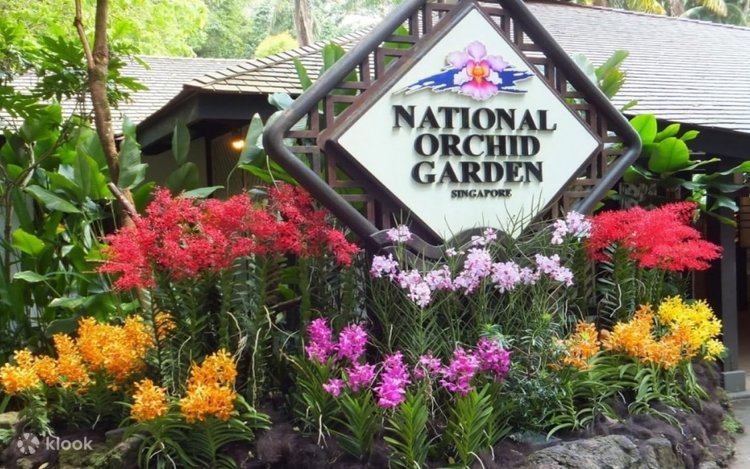 √ National Orchid Garden Singapore – A Blooming Jewel Inside the Botanic Gardens
