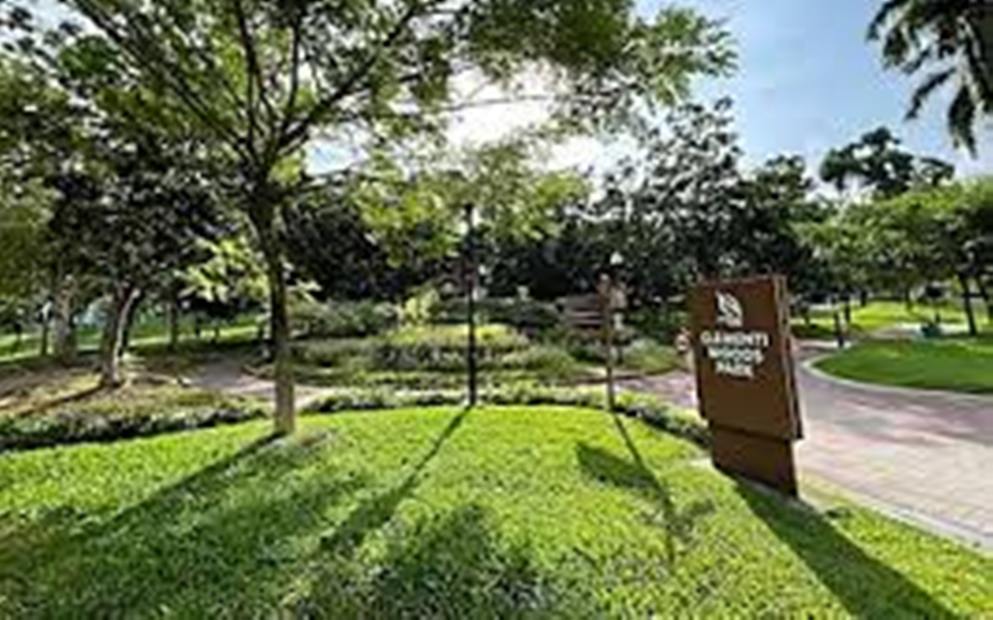 Clementi Nature Walk Singapore: A Serene Escape into Nature