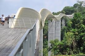 Telok Blangah Hill Park – Singapore’s Hidden Gem of Tranquility and Scenic Views