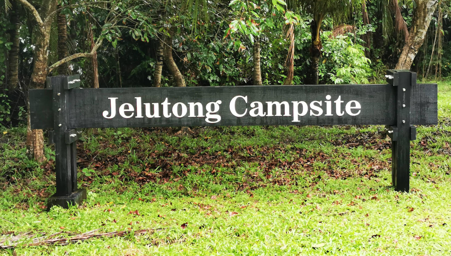 √ Butterfly Hill & Jelutong Campsite Singapore: A Nature Lover’s Paradise on Pulau Ubin
