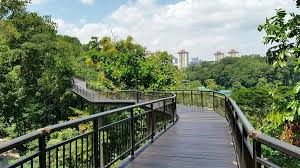 Kent Ridge Park: A Historic Green Escape in Singapore