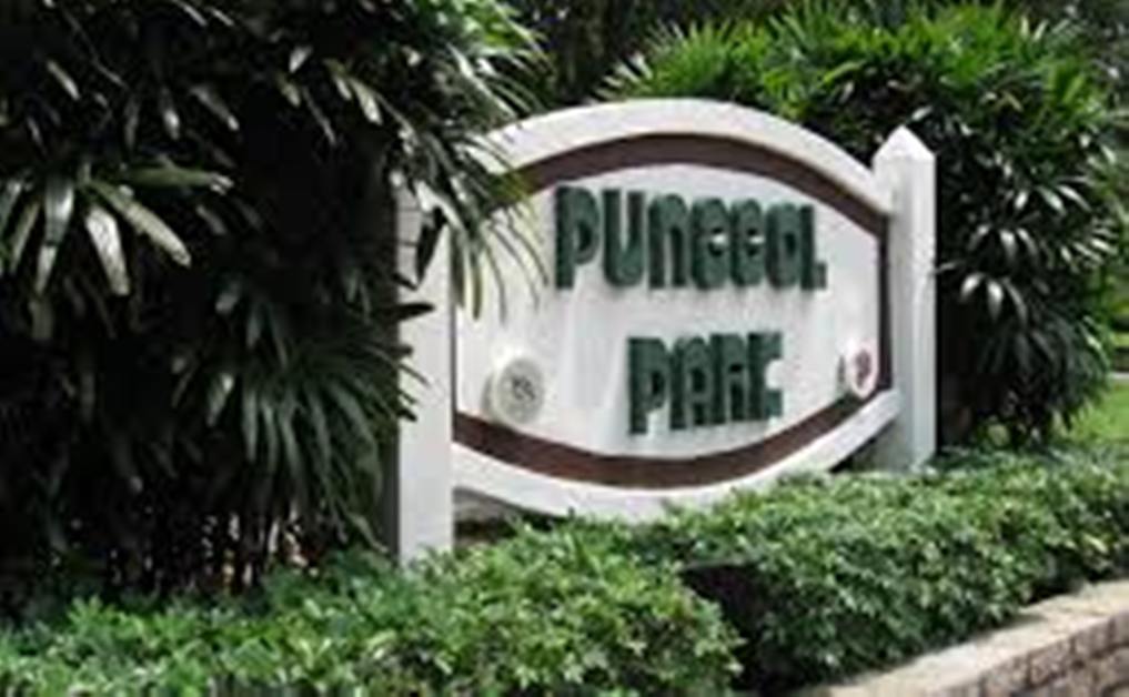 √ Punggol Park Singapore: A Serene Escape in the Northeast