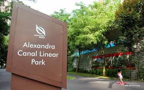 Alexandra Canal Linear Park: A Green Corridor in the Heart of Singapore
