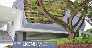 Lee Kong Chian Natural History Museum: Singapore’s Treasure of Biodiversity
