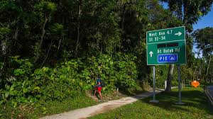 Bukit Batok Hillside Nature Park Singapore: The Hidden Forest Trail of the West
