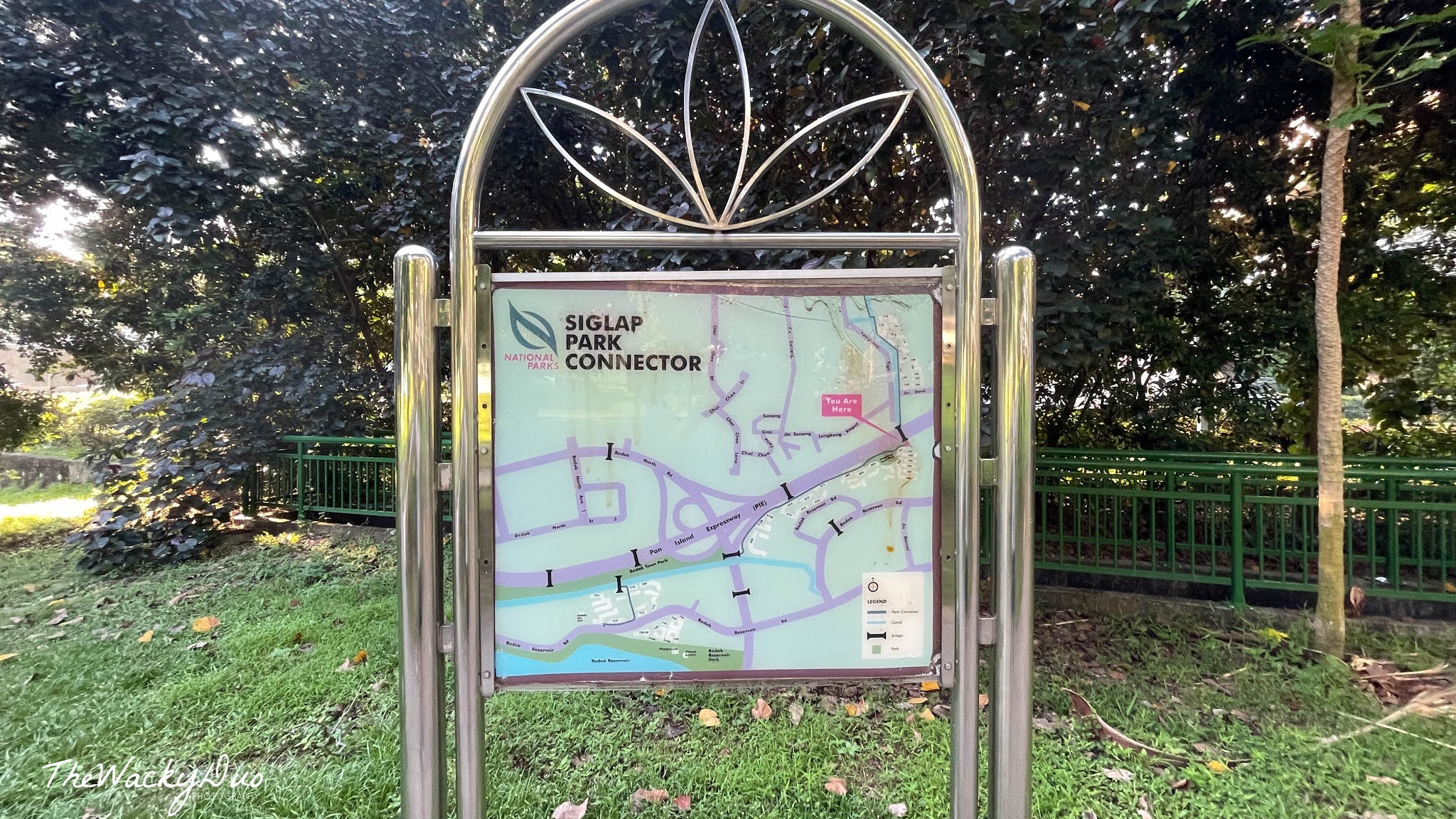 √ Explore Siglap Park Connector- Route, Access & Travel Guide