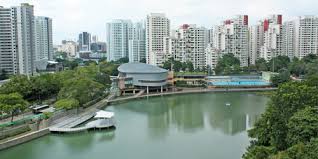 Pang Sua Pond Singapore – Where Urban Life Meets Nature’s Calm