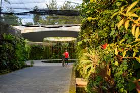 Teck Ghee Community Garden Trail Singapore – A Hidden Gem of Green Living