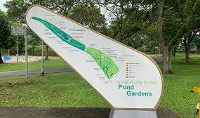 Bishan-Ang Mo Kio Park – Singapore’s Green Jewel of the Heartlands