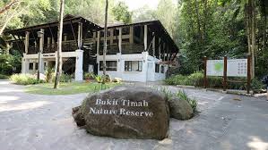 Bukit Timah Nature Reserve Singapore – A Journey into the Heart of the Rainforest