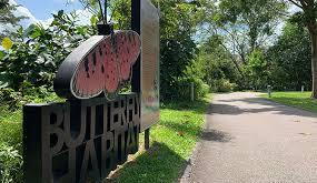 Bukit Panjang Butterfly Garden Singapore – A Hidden Gem of Color and Calm