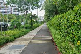 Coastal Trails & Park Connectors in Singapore: Scenic Routes for Cycling, Jogging & Nature Walks