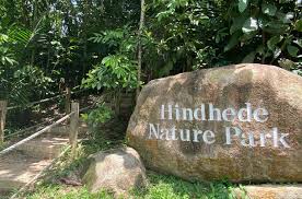 Hindhede Nature Park Singapore – A Serene Sanctuary for Nature and Relaxation