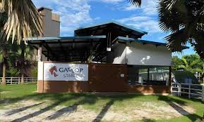 Gallop Stable Singapore: Horse Riding and Equestrian Fun for All Ages