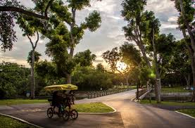 Pasir Ris Park Singapore: A Tranquil Coastal Escape for Nature and Leisure
