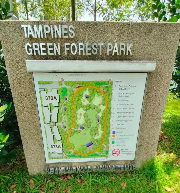 √ Tampines Green Forest Park A Hidden Nature Retreat in the City